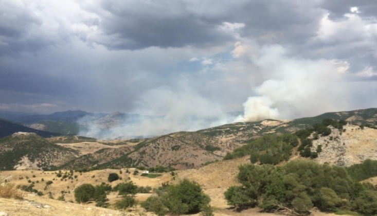 Dersim'de Çıkan Yangınlar Kontrol Altına Alındı