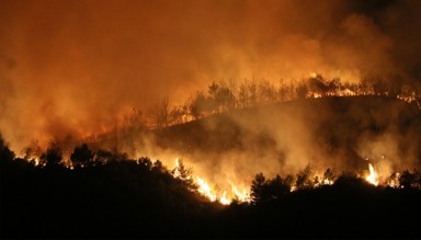 Hatay’da Orman Yangını Büyüyor