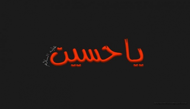 Hz. Hüseyin'den (a.s) Hikmet Dolu Sözler