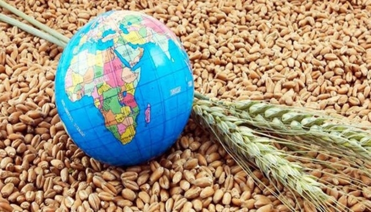 48 Ülke Gıda Krizi Riski Altında