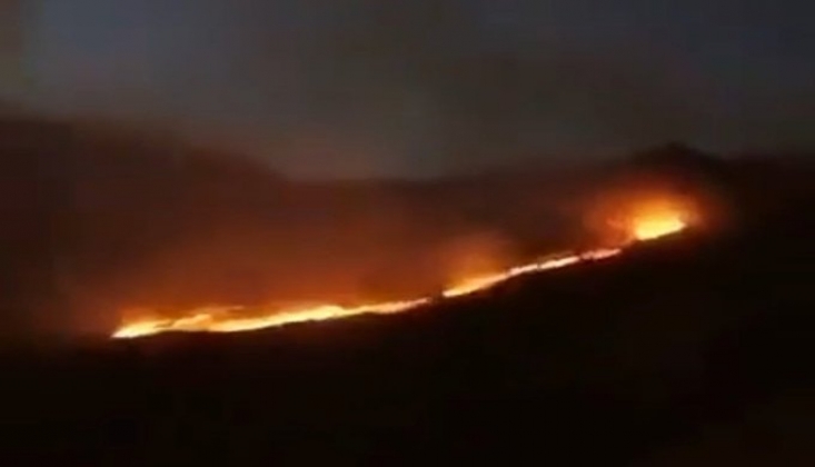 Şemdinli'de Orman Yangını