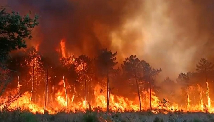 Fransa'da Orman Yangını; 10 Bin Kişi Tahliye Edildi