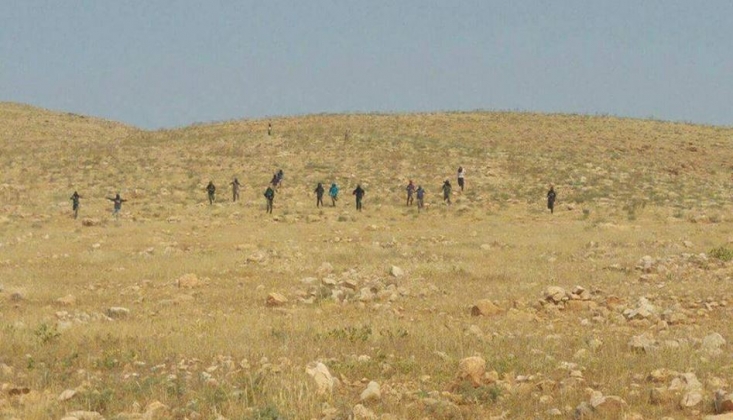 Yerleşimci Teröristler Filistinli Kadın Çobanlara Saldırdı