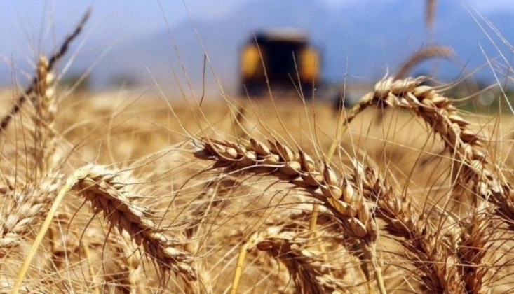 Bakanlıktan 'İthal Buğday' Açıklaması