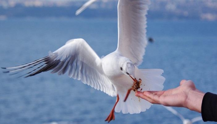 Refahın Çeşitleri ve Rızkın Genişliği