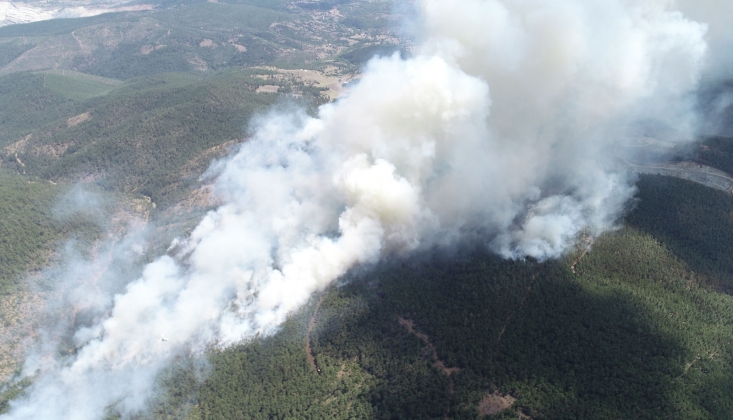 Bursa'da Orman Yangını 