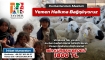  TAYDER’den Yemen’e Kurban Bağışı Çağrısı