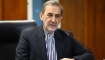 Velayati: İran'ı İzole Etme Politikası Başarısız Oldu