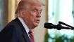 Trump'ın Gazze Yalanı Böyle Ortaya Çıktı