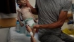 Gazze'de 6 Aylık Bir Bebek Daha Açlıktan Şehit Oldu
