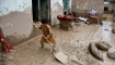 Afganistan'daki Sel Felaketinde 315 Kişi Yaşamını Yitirdi