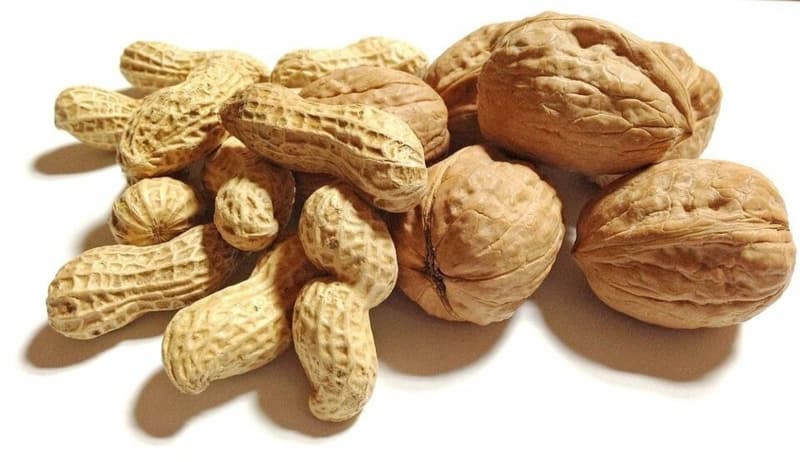 Cevizin Faydaları Nelerdir?